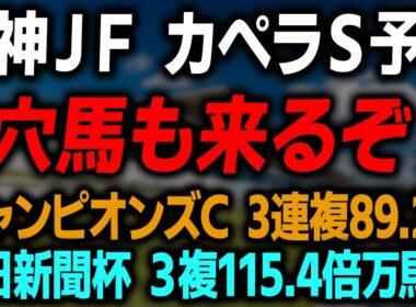 【阪神ジュベナイルフィリーズ カペラステークス 2025 最終予想】阪神JFとカペラSの絶対に買いたい本命対抗馬と買い目を徹底解説します