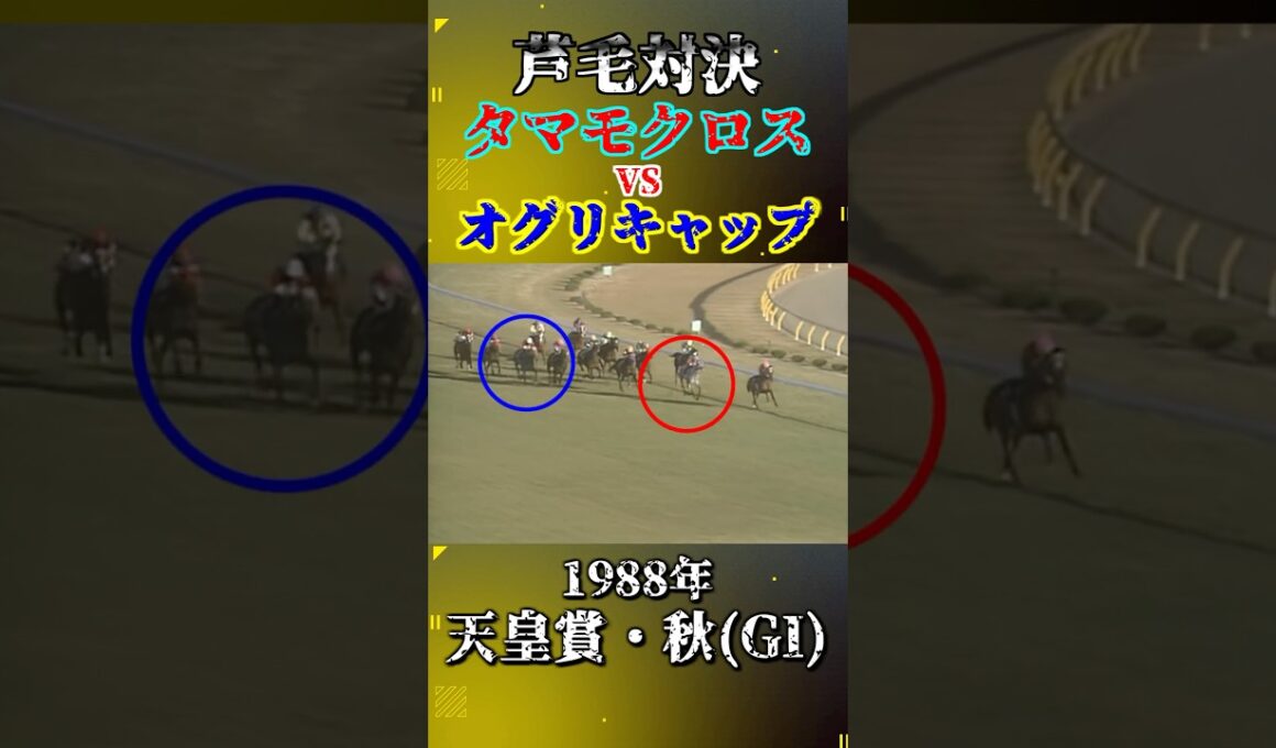 タマモクロス【1988年天皇賞・秋(GI)】#競馬 #shorts #天皇賞秋 #オグリキャップ #タマモクロス