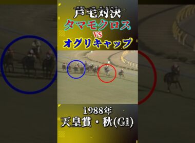 タマモクロス【1988年天皇賞・秋(GI)】#競馬 #shorts #天皇賞秋 #オグリキャップ #タマモクロス