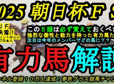 【有力馬解説】2025朝日杯フューチュリティステークス！この5頭は必ず特徴を頭に入れるべき！今年のメンバーはハイレベル！