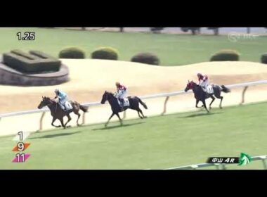 2025/3/9 中山4r 障害未勝利 大量落馬 1・2番人気を含む5頭が落馬