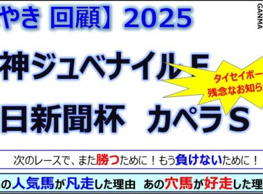 【ぼやき回顧】阪神ジュベナイルフィリーズ＆中日新聞杯＆カペラステークス＜2025＞