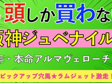 【2025 阪神ジュベナイルF】２歳戦は穴馬狙わなきゃ損！