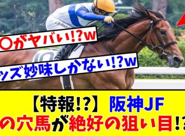 【阪神JF】【特報!?】阪神JFに出走するかも!?なあの穴馬が絶好の狙い目!?www