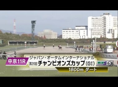 【本馬場入場】2025年12月7日 第26回 チャンピオンズカップ(G1) ダブルハートボンド/坂井瑠星