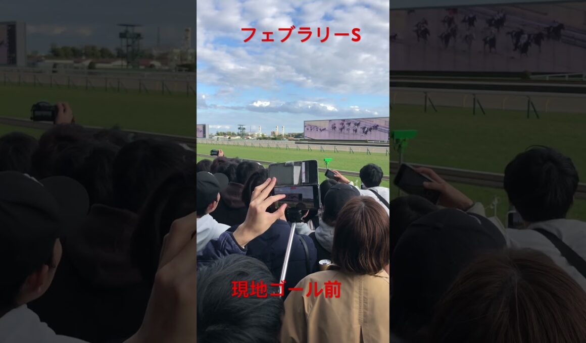 2024フェブラリーS 現地 ゴール前 #shorts