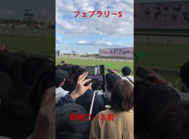 2024フェブラリーS 現地 ゴール前 #shorts
