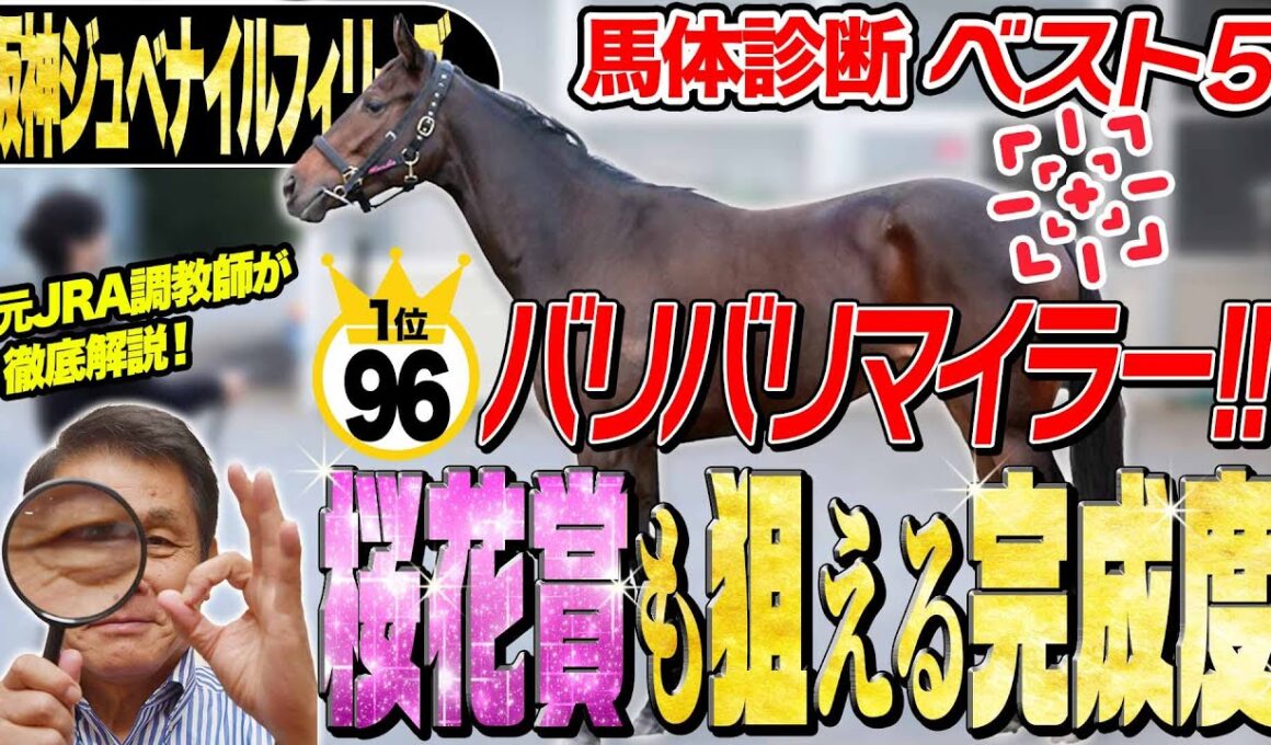 【阪神JF2025】中村均元調教師が馬体診断ベスト５を発表　1位は素晴らしい完成度！《東スポ競馬》
