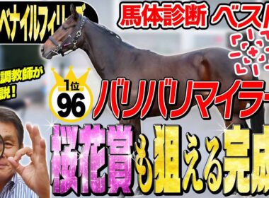 【阪神JF2025】中村均元調教師が馬体診断ベスト５を発表　1位は素晴らしい完成度！《東スポ競馬》