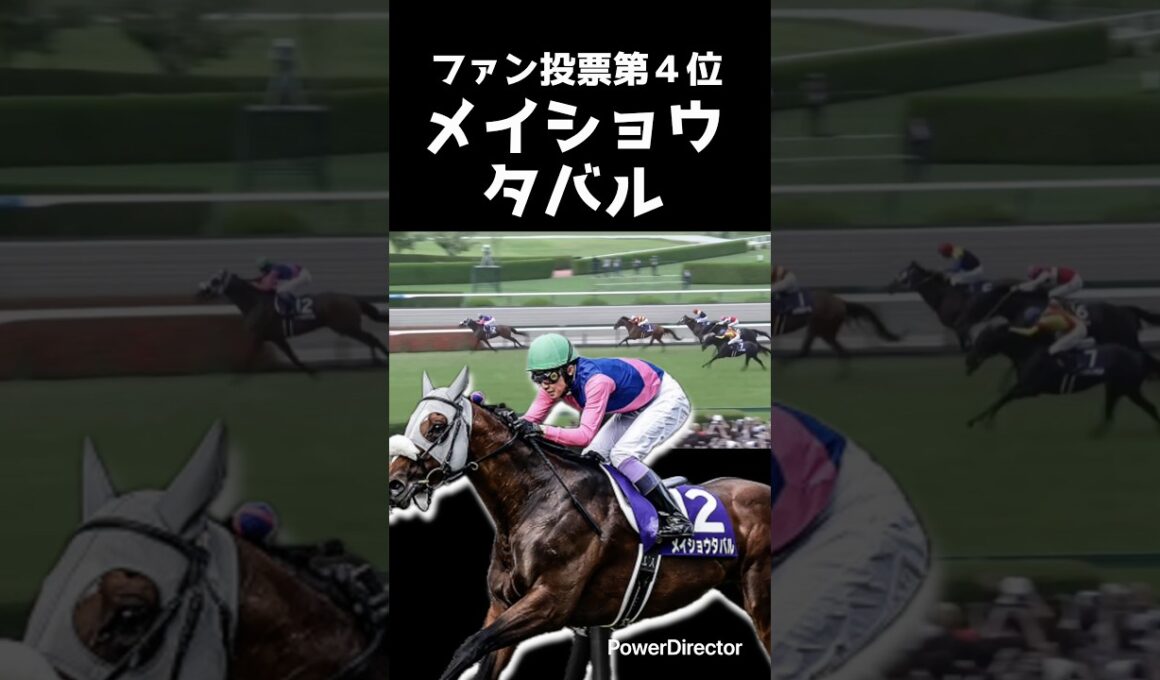 有馬記念2025 出走馬紹介！【特典あり】#jra