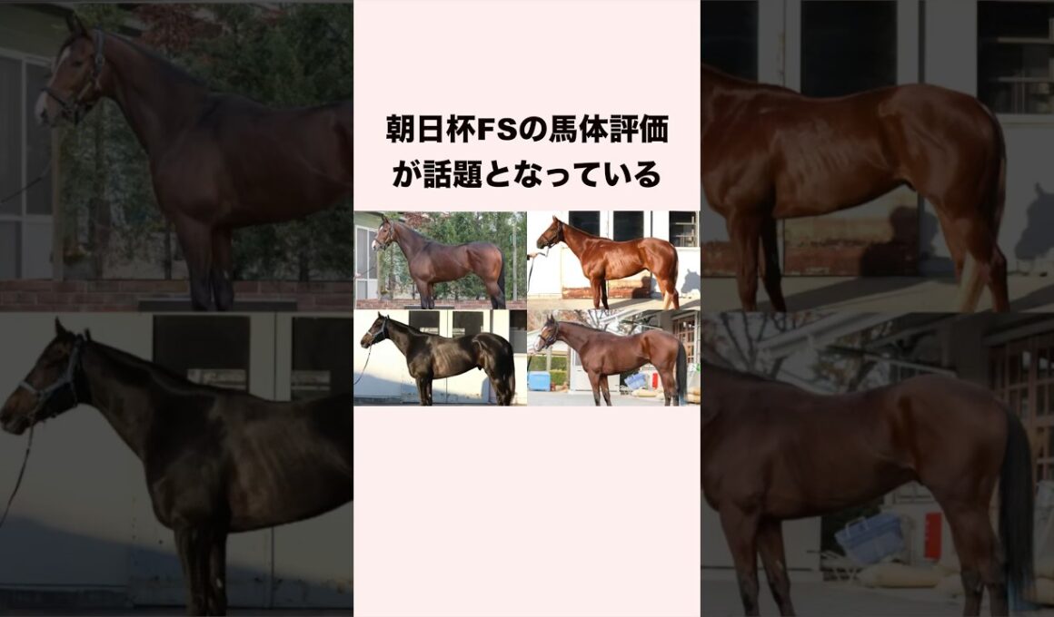 朝日杯FSの馬体解説が話題となっている #競馬 #競馬予想 #ウマ娘 #朝日杯fs #shorts
