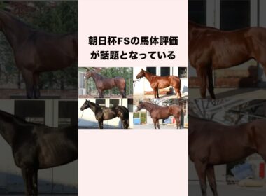 朝日杯FSの馬体解説が話題となっている #競馬 #競馬予想 #ウマ娘 #朝日杯fs #shorts