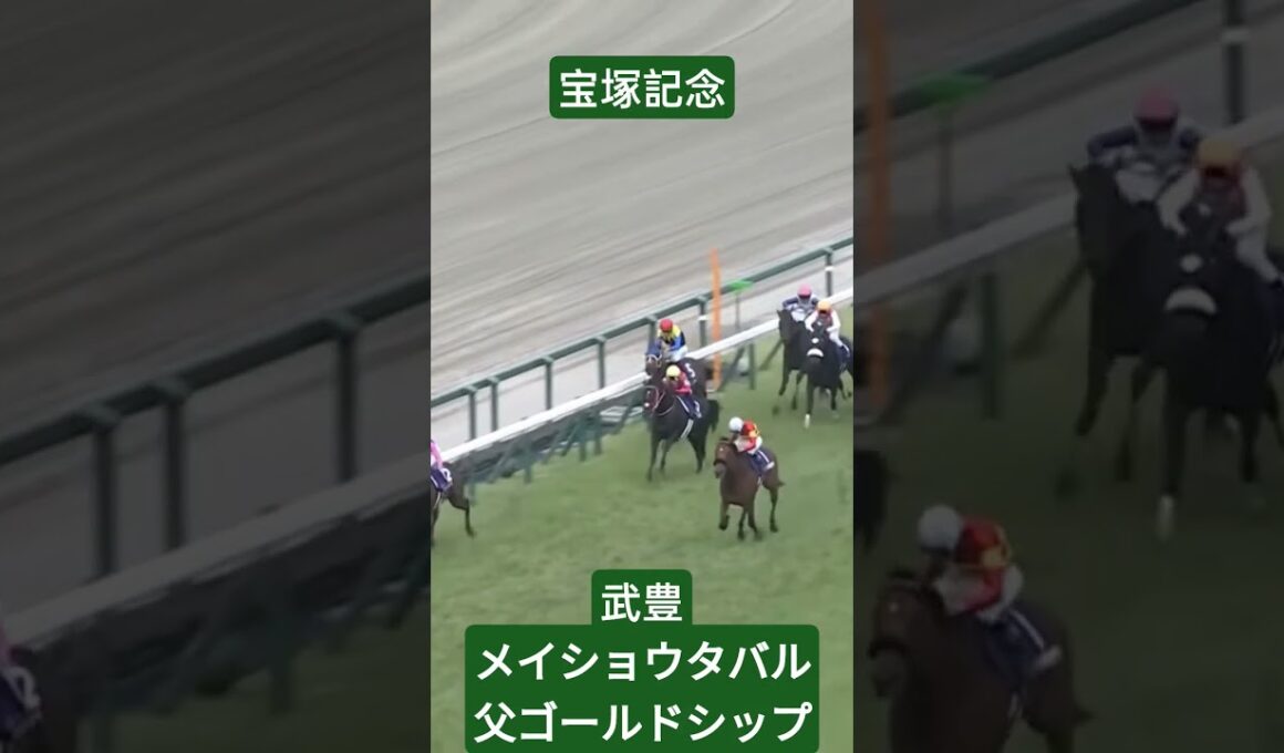 宝塚記念勝ったのはメイショウタバル　武豊　父ゴールドシップに父の日のプレゼント　引退後も愛されるゴルシ