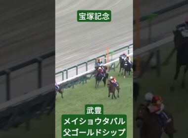 宝塚記念勝ったのはメイショウタバル　武豊　父ゴールドシップに父の日のプレゼント　引退後も愛されるゴルシ