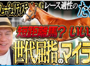 【朝日杯FS2025】戦績は短距離ばかりだけど実は世代屈指のマイラー体型！？2歳マイル王決定戦を太組不二雄がジャッジ！《東スポ競馬》