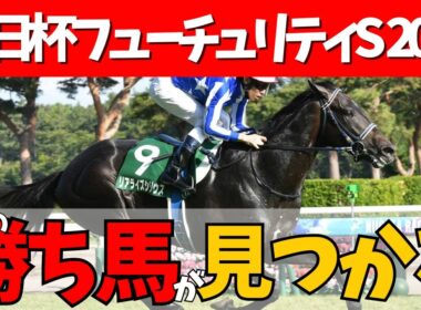 【朝日杯FS 2025】堅め決着濃厚🏇実力馬ぞろいの朝日杯フューチューリティステークスのカロリーさんの評価は？🎯#競馬系vtuber