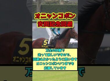 【競馬】オニャンコポン安田記念回避