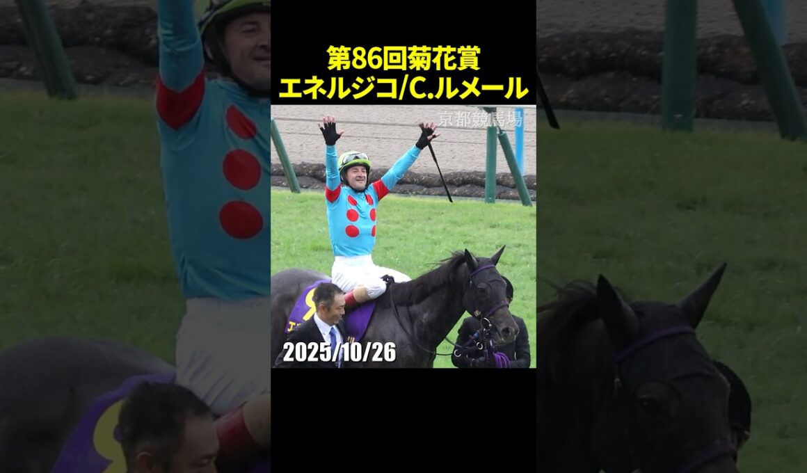 第86回菊花賞を勝利したルメール騎乗のエネルジコ #菊花賞 #エネルジコ  #現地映像 #競馬 #shorts