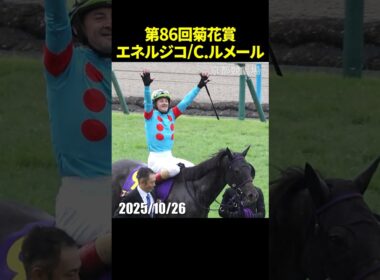 第86回菊花賞を勝利したルメール騎乗のエネルジコ #菊花賞 #エネルジコ  #現地映像 #競馬 #shorts