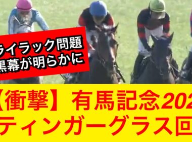 【競馬の反応集】スティンガーグラスが有馬記念2025を回避で真実が明らかに！？ファンは何を思う…【競馬】