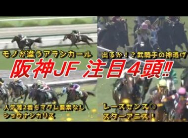 【阪神ジュベナイルフィリーズ2025 注目馬4頭‼】アランカールはモノが違う！　マーゴットラヴミーは武騎手で深化を！　元馬術選手のコラム