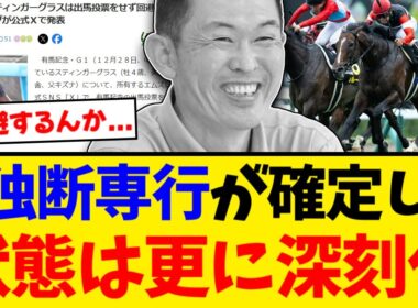 【悲報】スティンガーグラス有馬回避でキムテツの独断専行が確定してしまう...関係者全員ブチ切れで批判殺到「マジで何がしたかったの？」「ライラックが不憫すぎる」【競馬反応集】【2ch】