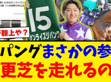 【有馬記念】サンライズジパング参戦決定！実際どれくらいやれるの？【競馬反応集】【2ch】