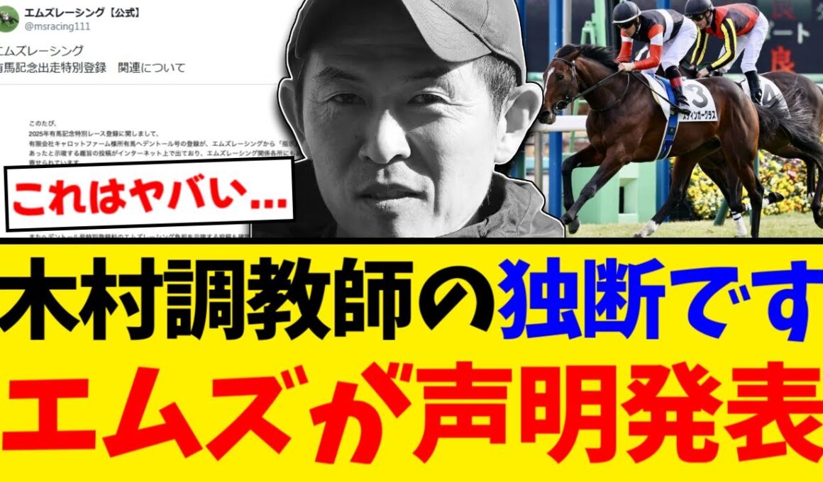 【激怒】「木村調教師の独断」エムズレーシングが声明発表 スティンガーグラスは有馬回避へ【競馬反応集】【2ch】