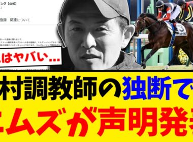 【激怒】「木村調教師の独断」エムズレーシングが声明発表 スティンガーグラスは有馬回避へ【競馬反応集】【2ch】