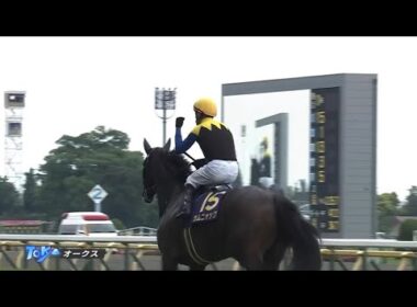 2025年 オークス (GⅠ)  カムニャック フルver