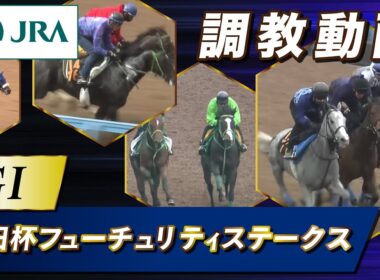 【調教動画】2025年 朝日杯フューチュリティステークス｜JRA公式