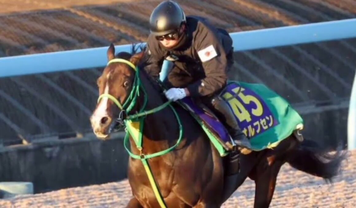 「未来のGⅠ馬はもう走っている──ホープフルS、運命の1週前追い切り🔥🐎」#ホープフルステークス#競馬#2歳馬#G1#追い切り