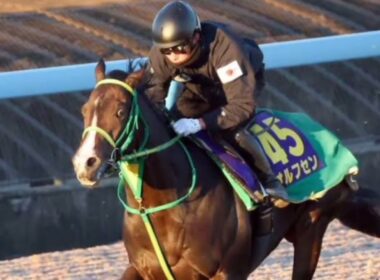 「未来のGⅠ馬はもう走っている──ホープフルS、運命の1週前追い切り🔥🐎」#ホープフルステークス#競馬#2歳馬#G1#追い切り