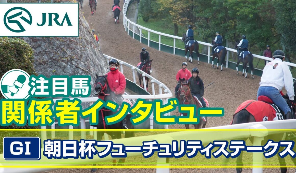 【注目馬 関係者インタビュー】2025年 朝日杯フューチュリティステークス｜JRA公式