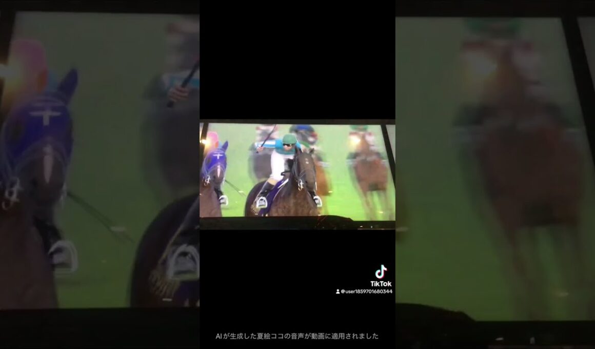 オークス(優駿牝馬(ゆうしゅんひんば))