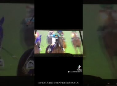 オークス(優駿牝馬(ゆうしゅんひんば))