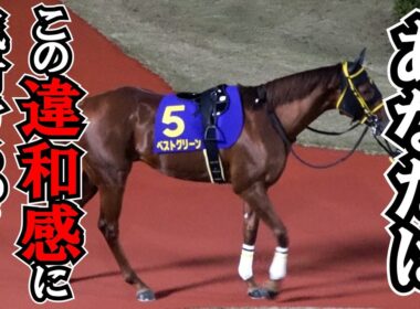 【全日本２歳優駿2025】 「この違和感にすぐに気づけた人は地方競馬通⁉」 全頭パドック  現地映像 パイロマンサー