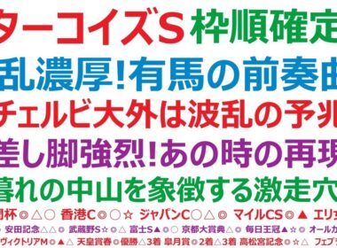ターコイズステークス2025枠順確定　波乱濃厚！有馬記念の前奏曲か？⑯チェルビは波乱の予兆？！◎差し脚強烈！あの時の再現も。○暮れの中山を象徴する激走穴馬です。