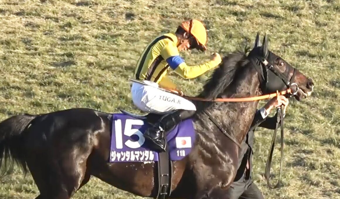 【現地】2025 G1 マイルチャンピオンシップ ジャンタルマンタル 川田 将雅  春秋マイル連覇【生ファンファーレ 京都競馬場】