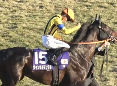 【現地】2025 G1 マイルチャンピオンシップ ジャンタルマンタル 川田 将雅  春秋マイル連覇【生ファンファーレ 京都競馬場】