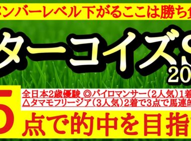【ターコイズステークス2025】最終予想！◎前走よりもメンバーが落ちるここなら好勝負期待大！