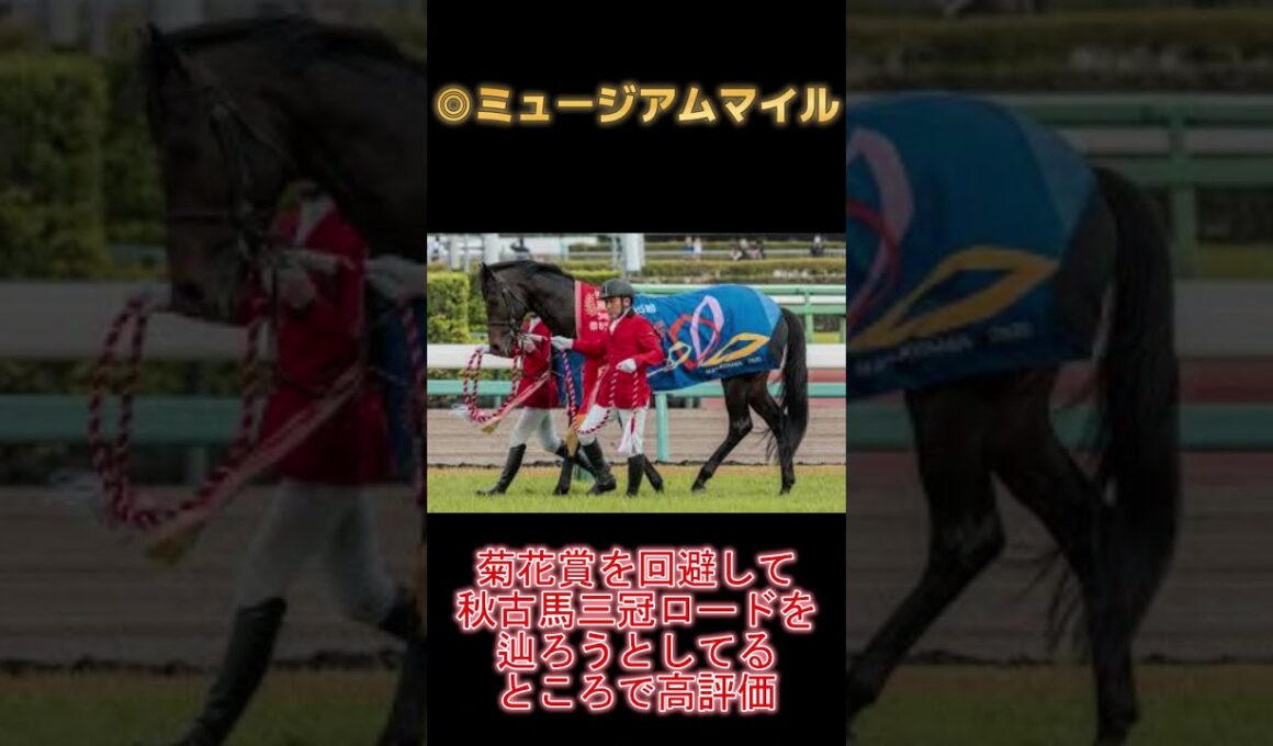 【2025 有馬記念】この買い目を逃すな！総収支100％を超える男の掛け方はこれだ！！  #競馬 #競馬予想#有馬記念 #horse