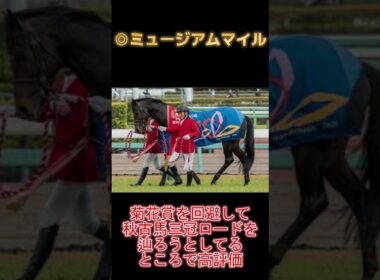 【2025 有馬記念】この買い目を逃すな！総収支100％を超える男の掛け方はこれだ！！  #競馬 #競馬予想#有馬記念 #horse