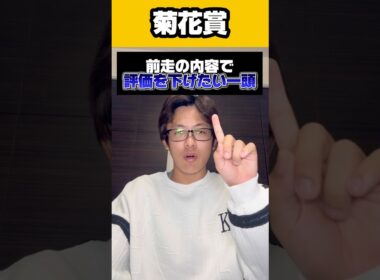 【菊花賞2025危険な人気馬】夏競馬15週連続S判定馬馬券内の男が送る菊花賞危険な人気馬予想‼️気になるあの人気馬をぶった斬る！！#競馬 #中央競馬予想 #菊花賞 #大予想 #展開予想 #データ分析