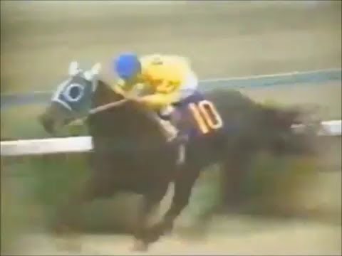 1975年皐月賞　カブラヤオー、逃げてヨレて６連勝！競り合った先行馬は故障脱落