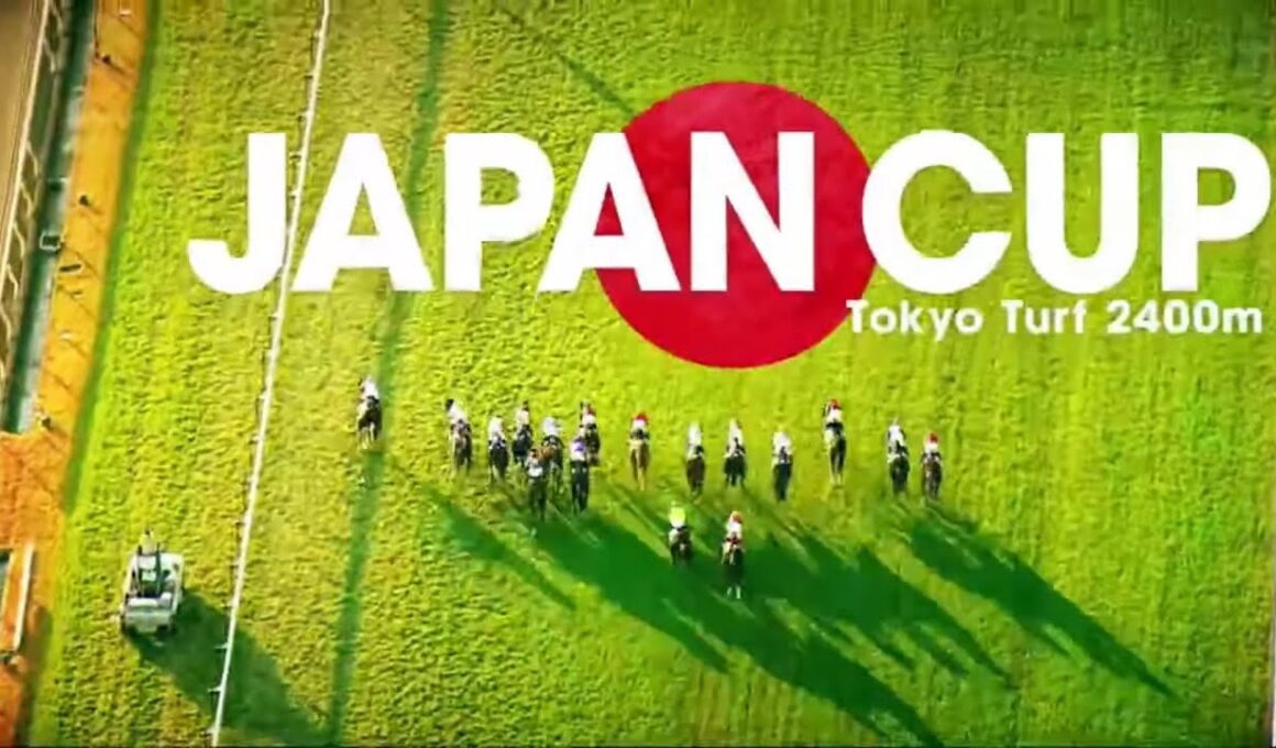 2025年「第45回 ジャパンカップ・GⅠ」カランダガン