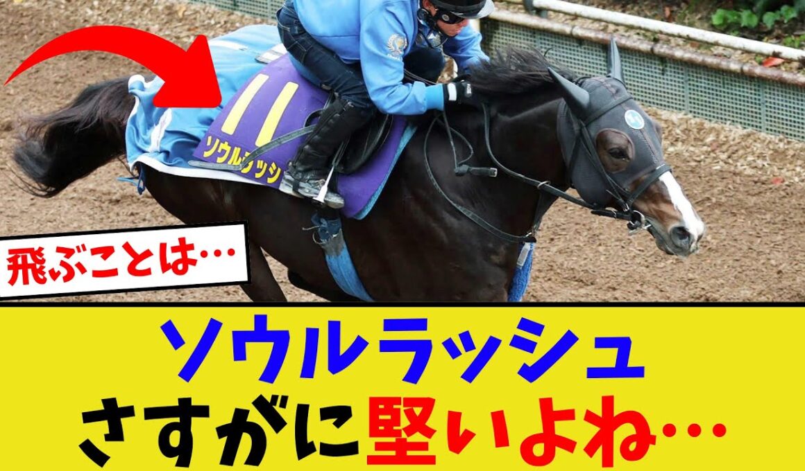 マイルチャンピオンシップ、ソウルラッシュの取捨【競馬反応集】