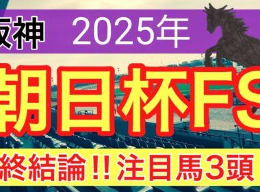 【朝日杯フューチュリティステークス2025】蓮の競馬予想(最終結論)〜チャンピオンズC注目馬3頭中2頭好走