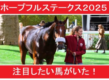 【ホープフルステークス２０２５】注目したい馬がいた！
