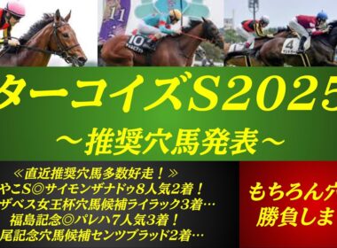 【ターコイズステークス2025】推奨穴馬発表！遅くなってしまい申し訳ございません！この穴馬で的中目指す！